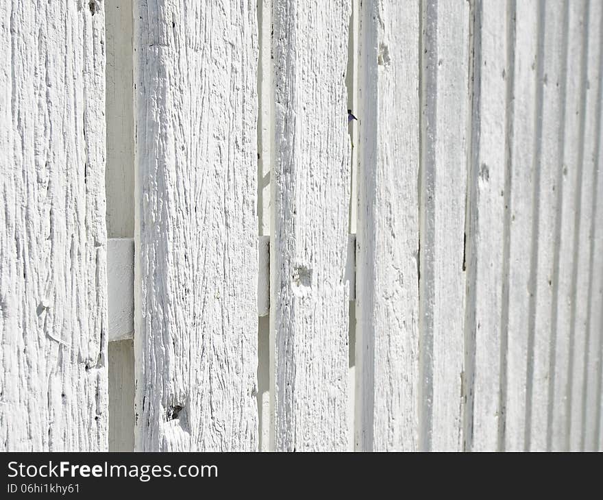 Closeup perspective of white wood palisade in sunny day. Closeup perspective of white wood palisade in sunny day