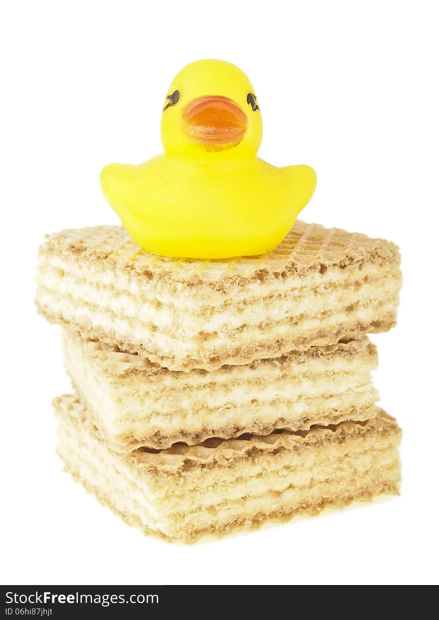 Small duck on wafer