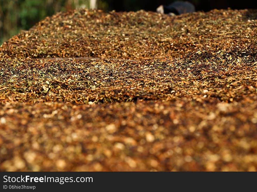 Dry tobacco for use for background