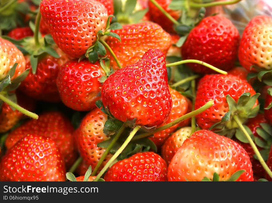 A heap of strawberries in the plastic bag. A heap of strawberries in the plastic bag