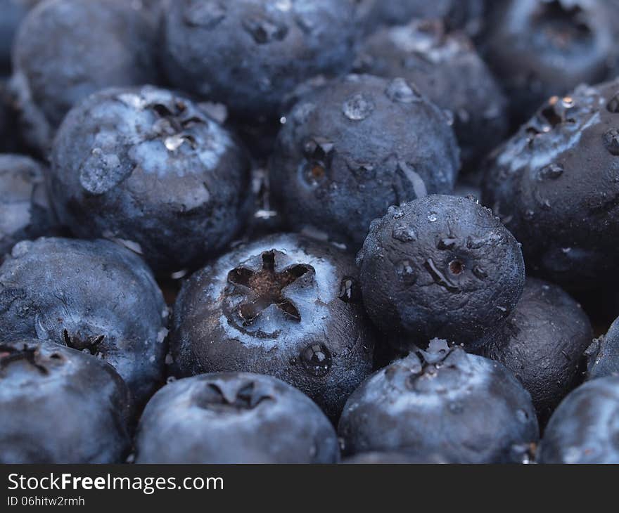 Blueberry fruit