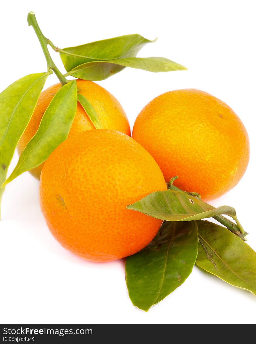 Arrangement of Fresh Ripe Tangerines with Stems and Leafs isolated on White background