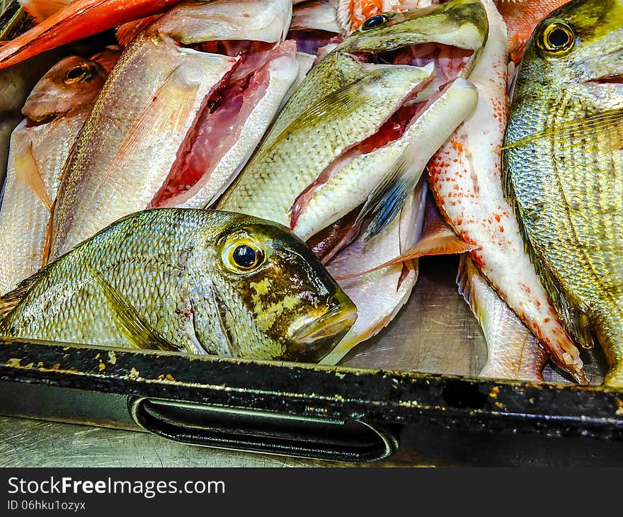 Tropical fish fish in a restaurant near the sea