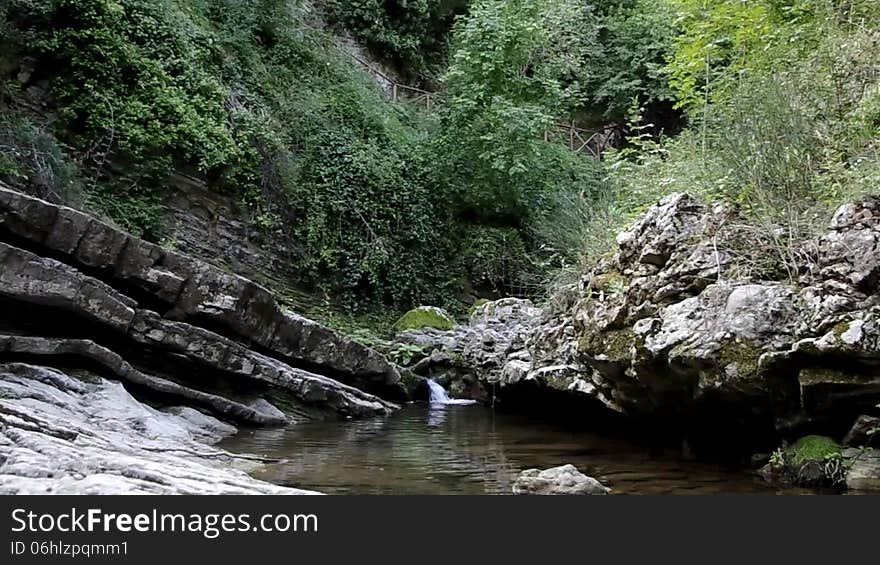 Forest with waterfall