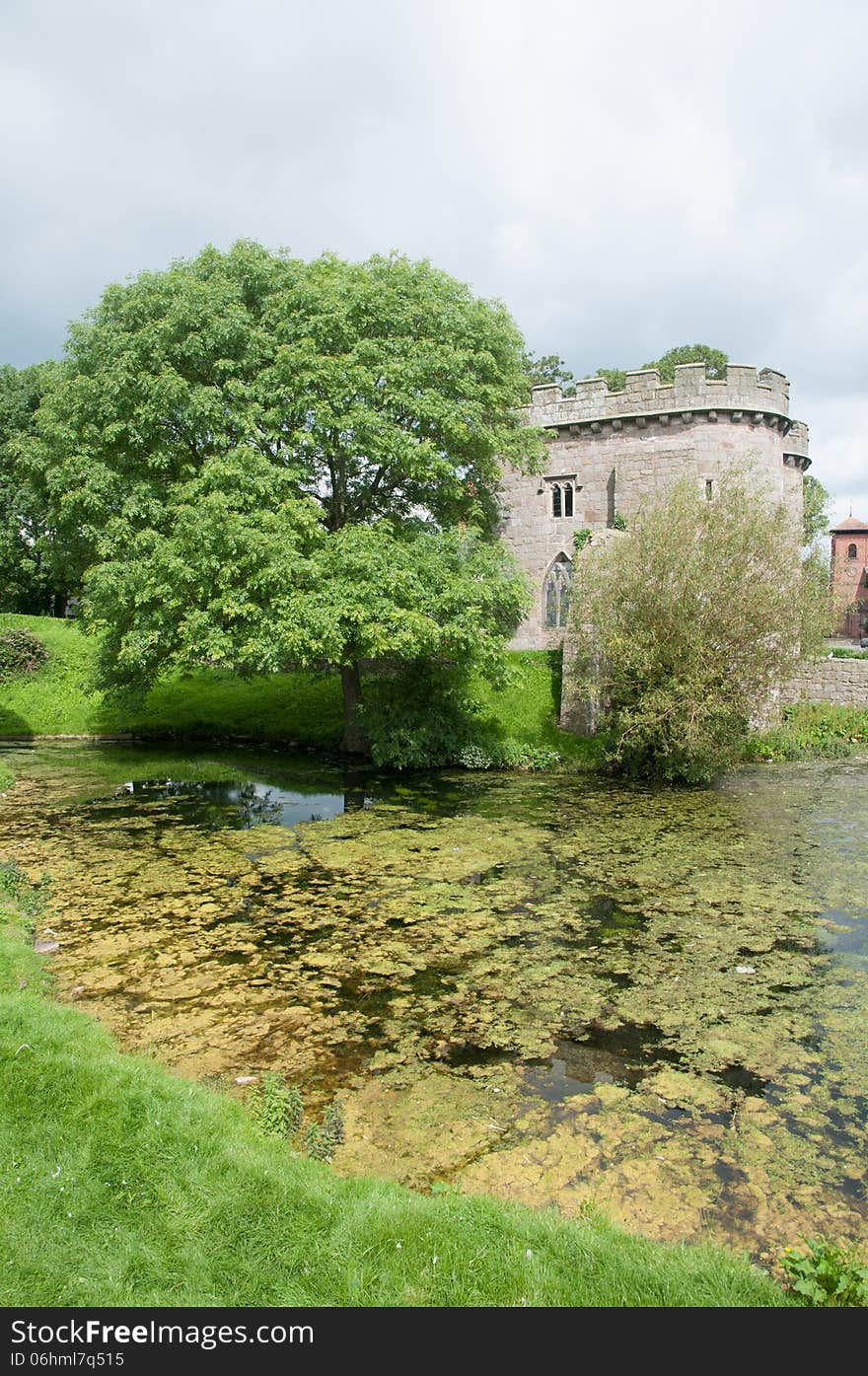 Trees and castle