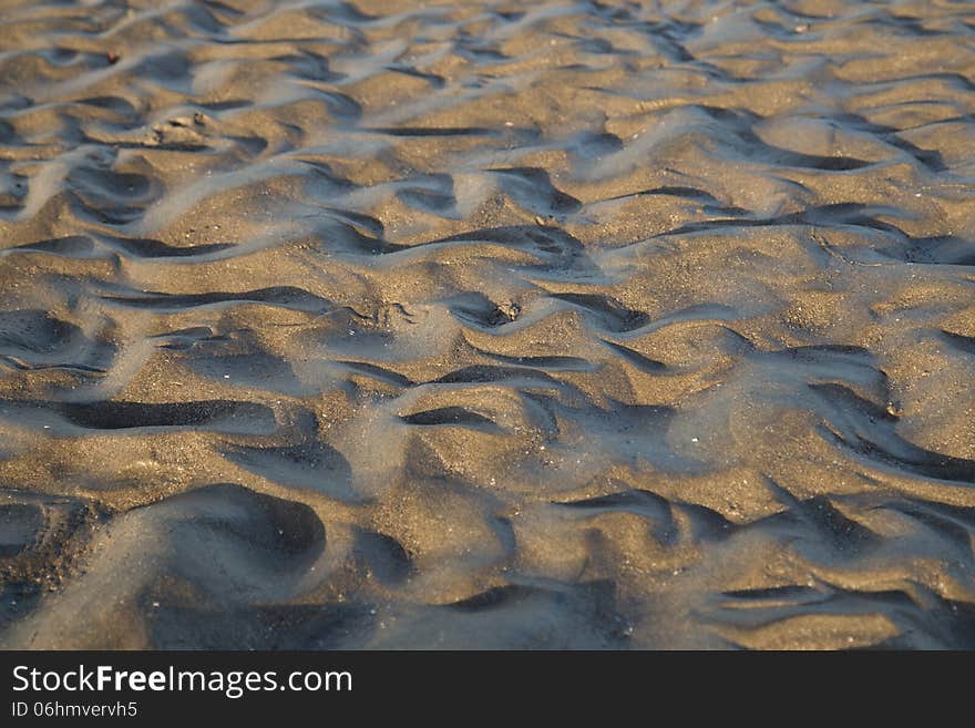 Sand Dunes In Beach