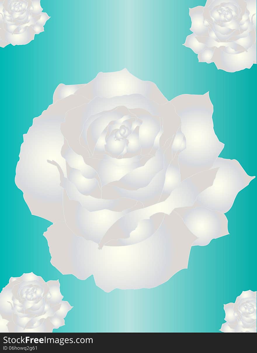 White Roses