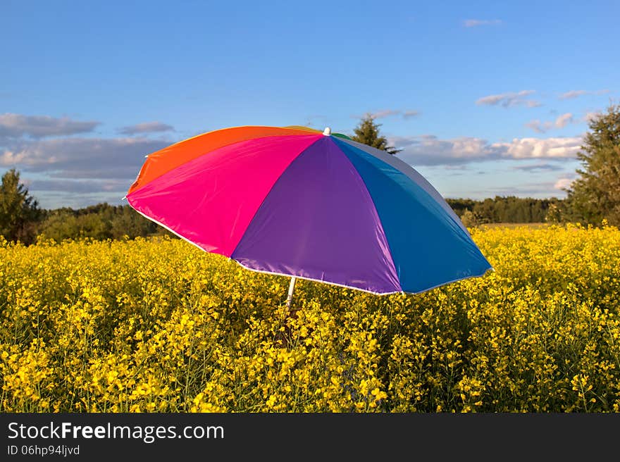 Colorful umbrella