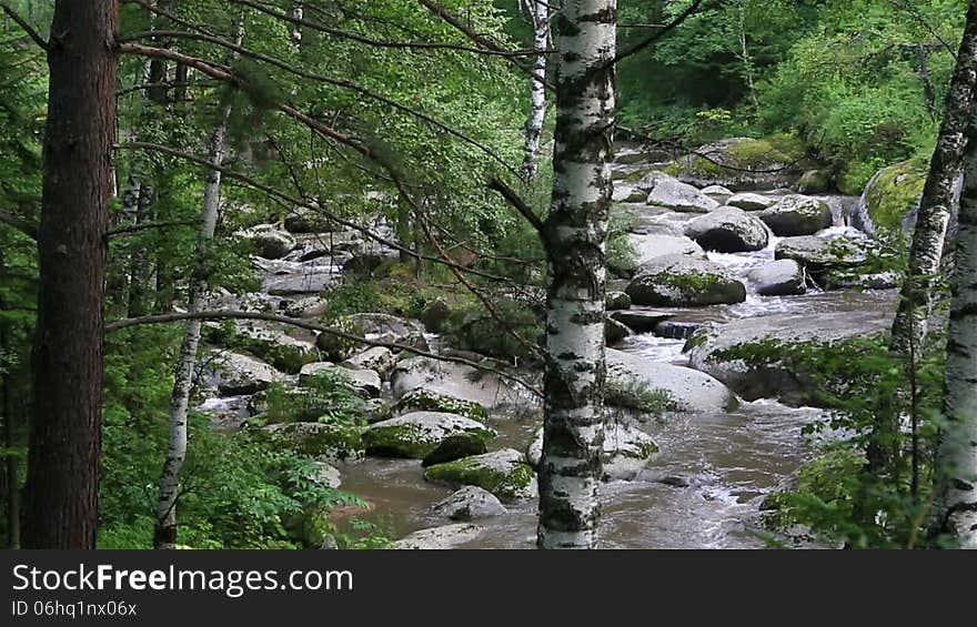 Panorama Of Belokurikha Mountain River In Altai Krai.