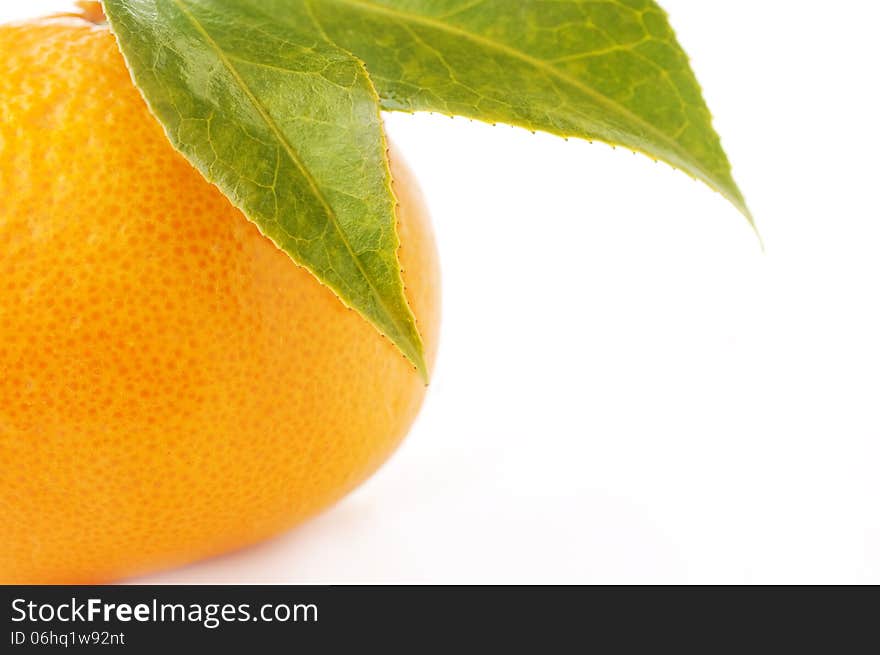 Ripe mandarin orange with leaves in details