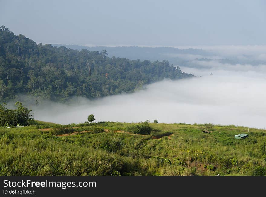 Fog And Mountain