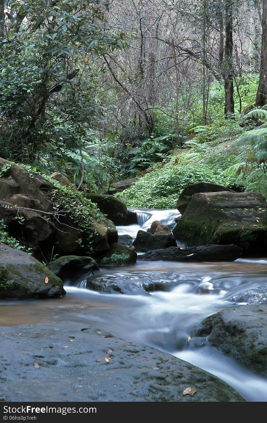 The gentle waterfall near Lennox Bridge in the Blue Mountains. The gentle waterfall near Lennox Bridge in the Blue Mountains