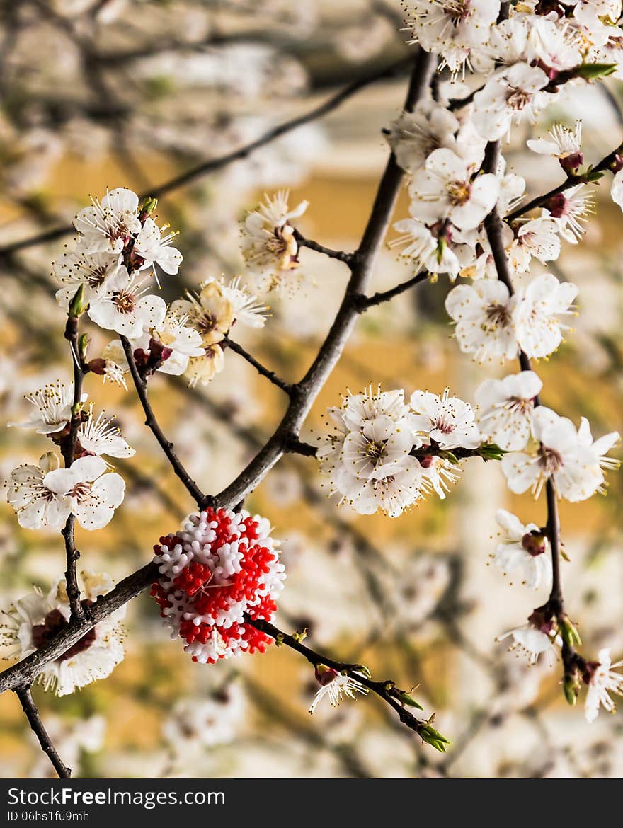 Spring blossoms and a plastic toy, Bucharest - Romania