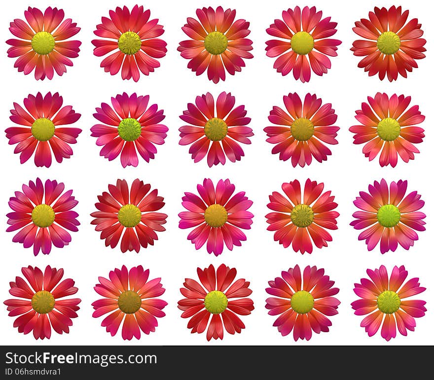 Red Open Flowers Pattern On White Backgrounds