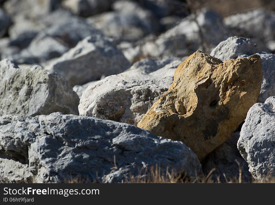 Standing Out In A Crowd Of Stones