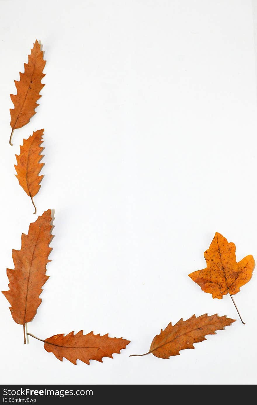 Leaves frame