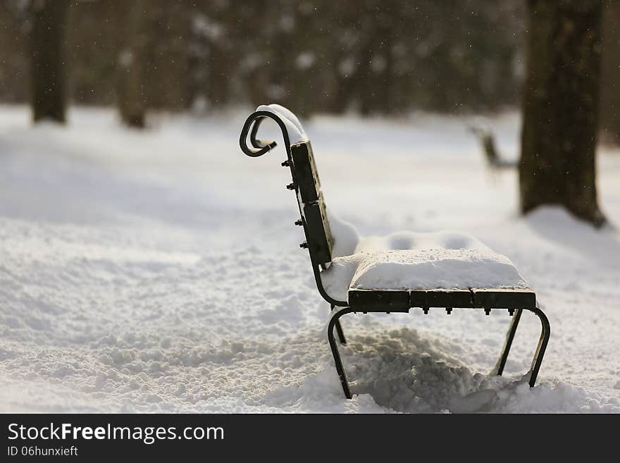 Park Bench