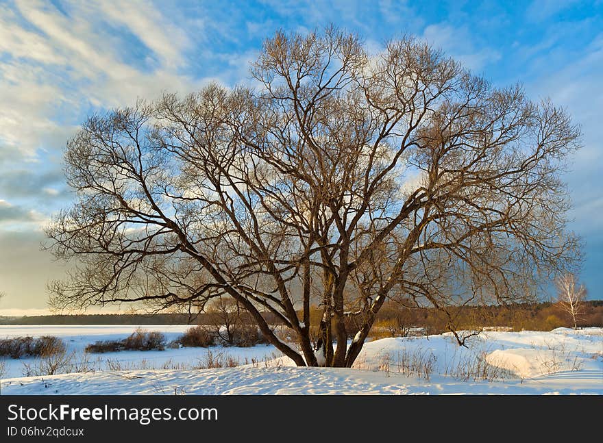 Sunset in winter. Kaluga region, Russia. Sunset in winter. Kaluga region, Russia