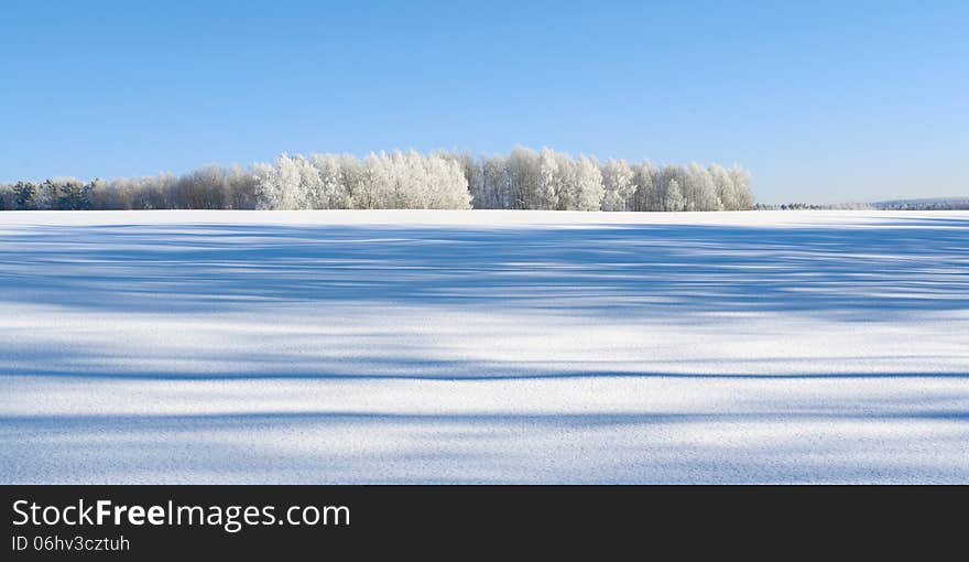 Winter scene. Kaluga region, Russia