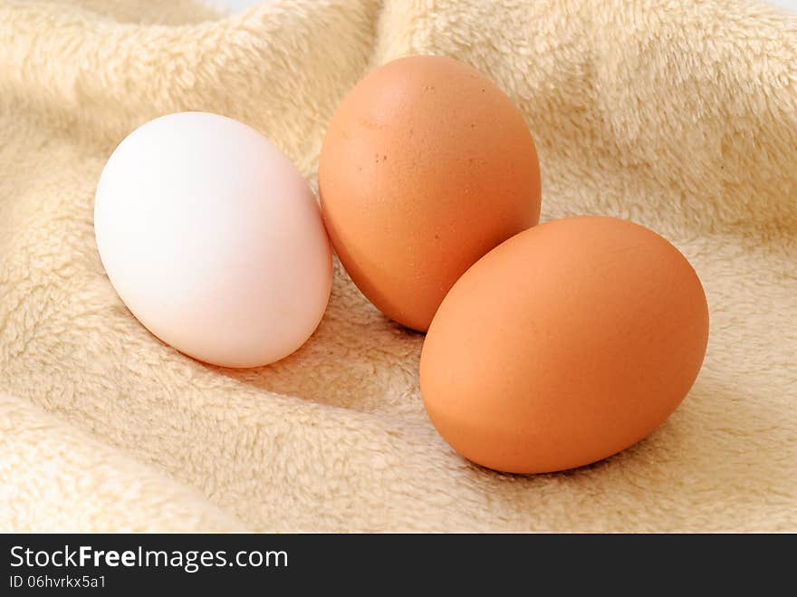 Eggs on cloth background with