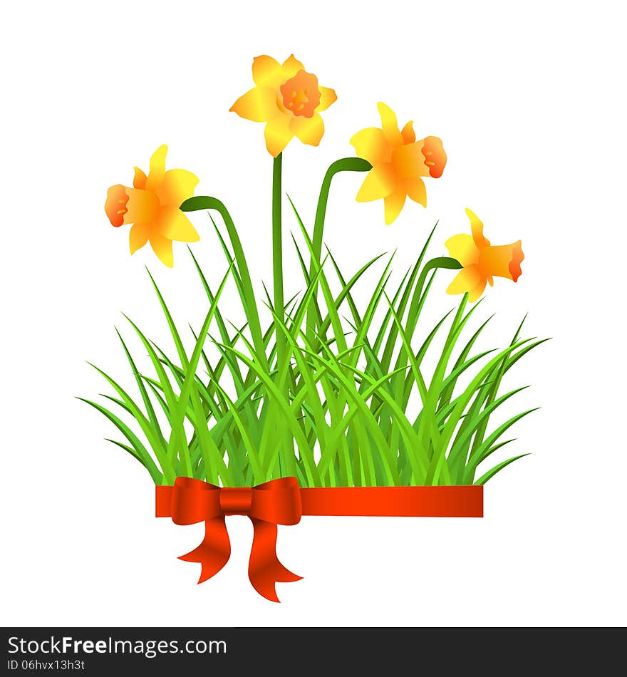 Vector invitation cards with narcissus and grass. Vector invitation cards with narcissus and grass.