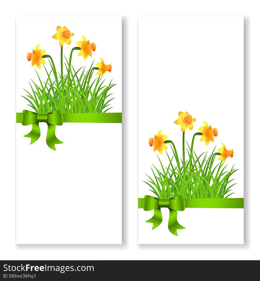 Two vector invitation cards with narcissus and bow ribbon. Two vector invitation cards with narcissus and bow ribbon.