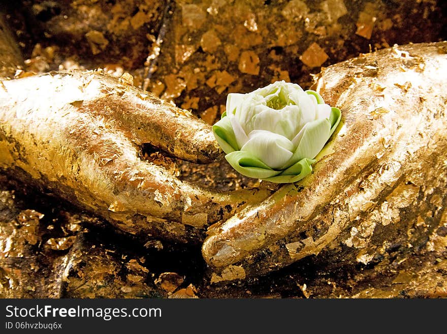 A lotus for pray in Buddhism. A lotus for pray in Buddhism