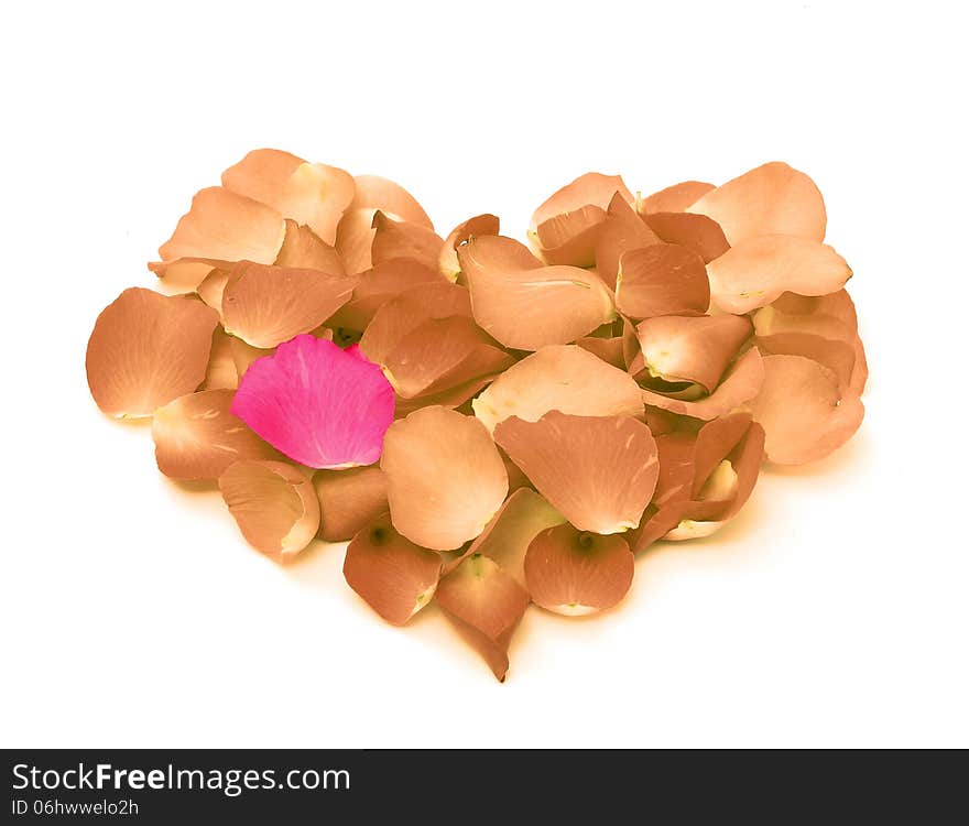 Rose petals in a form of heart shape on white background