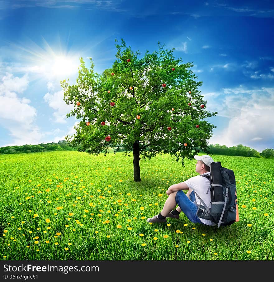 Tourist sitting in the field near an apple-tree. Tourist sitting in the field near an apple-tree