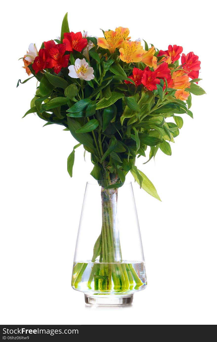 Beautiful Coloured Flowers in the Glass Vase Isolated on the White Background. Beautiful Coloured Flowers in the Glass Vase Isolated on the White Background