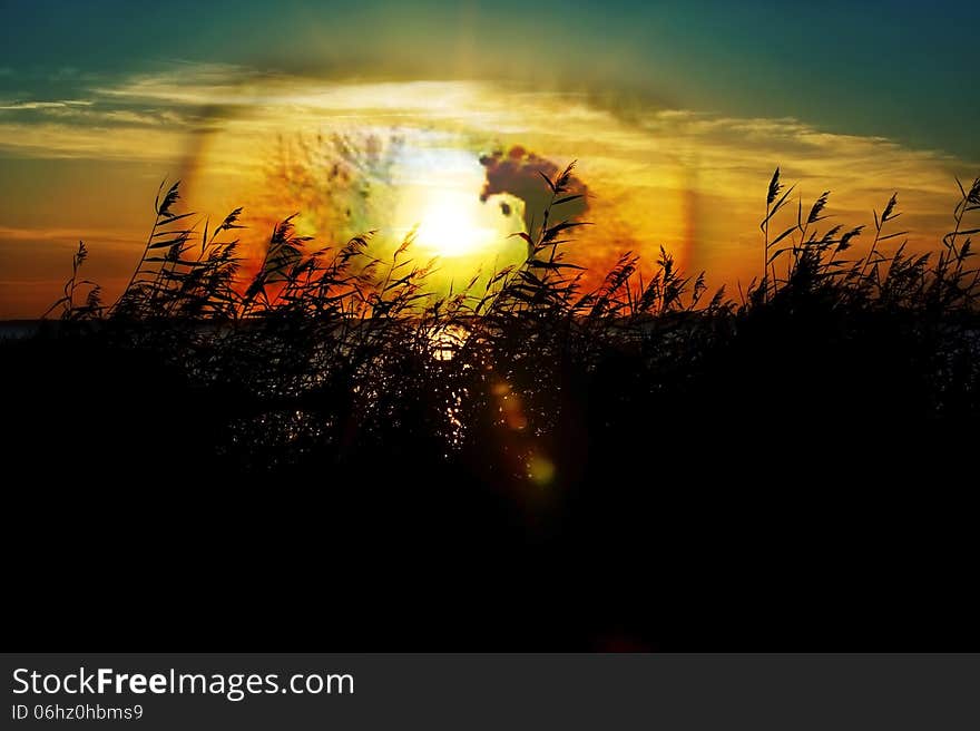 Big eye over warm summer sky, conceptual manipulated photo. Big eye over warm summer sky, conceptual manipulated photo