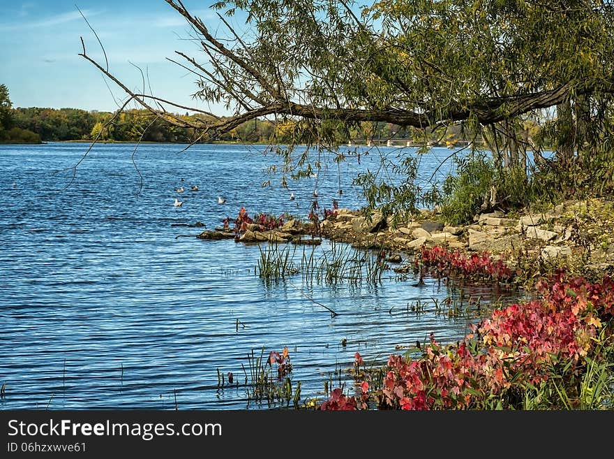 Colorful autumn scene with bright red and green leaves on a blue sky