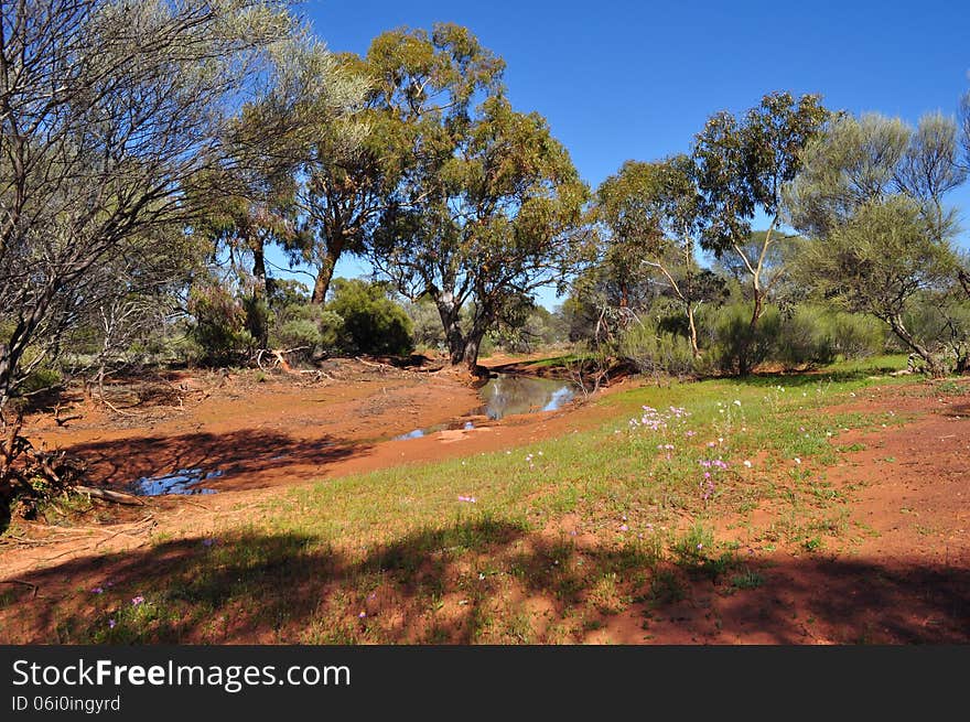 Australian outback water hole