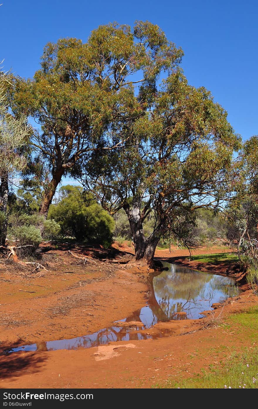 water hole Australian outback