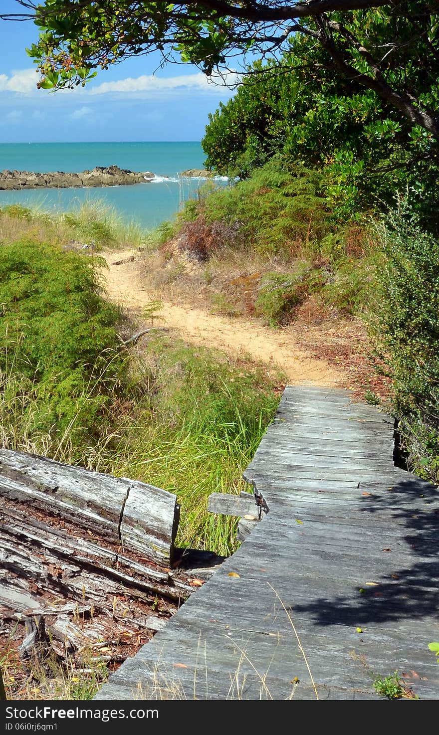 The Track To The Beach at Ngaio Bay, Abel Tasman National Park.