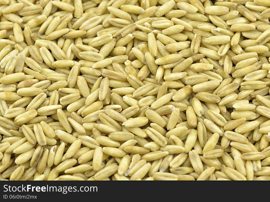 Oat seeds background in closeup