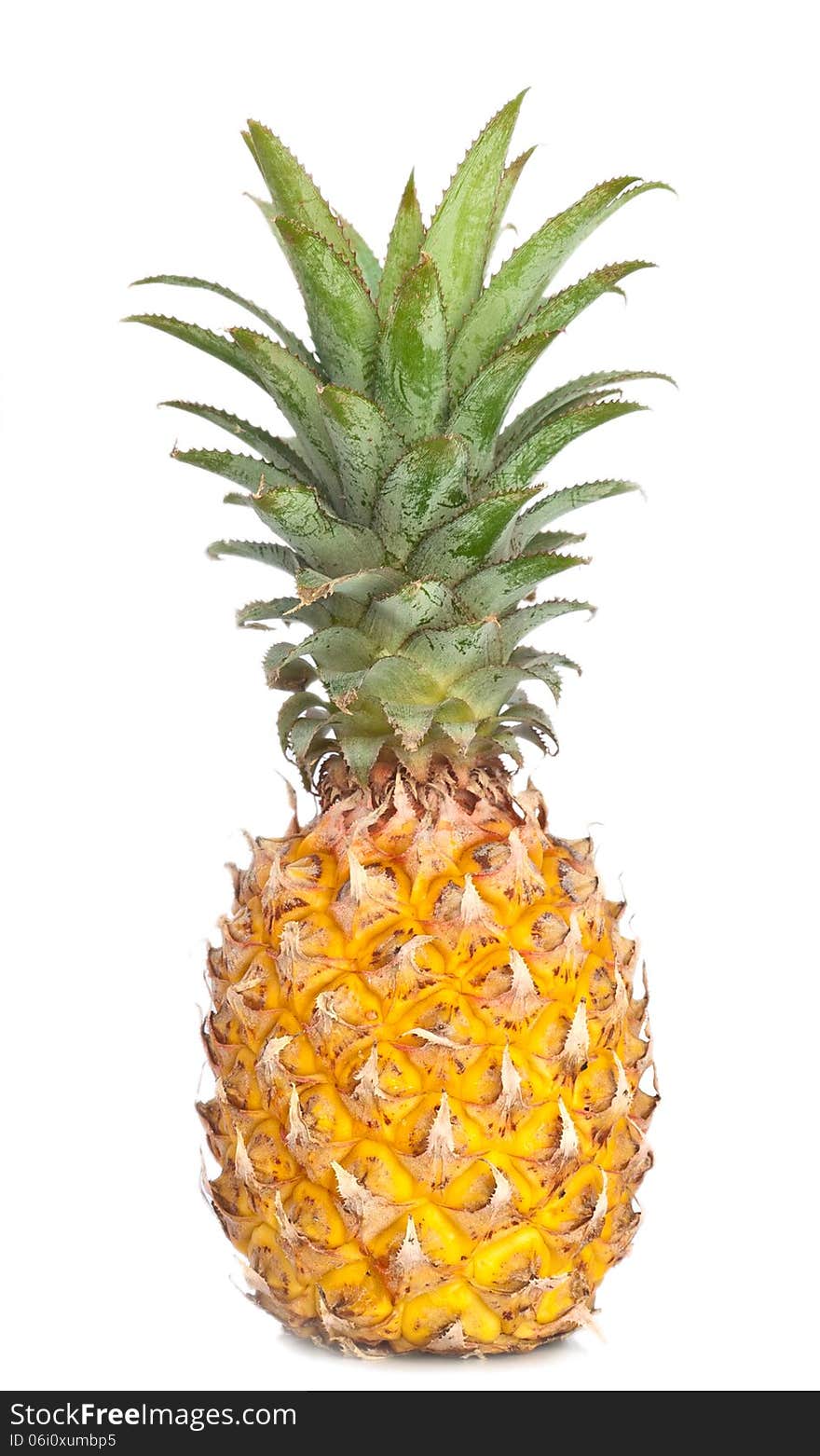 ananas on white background