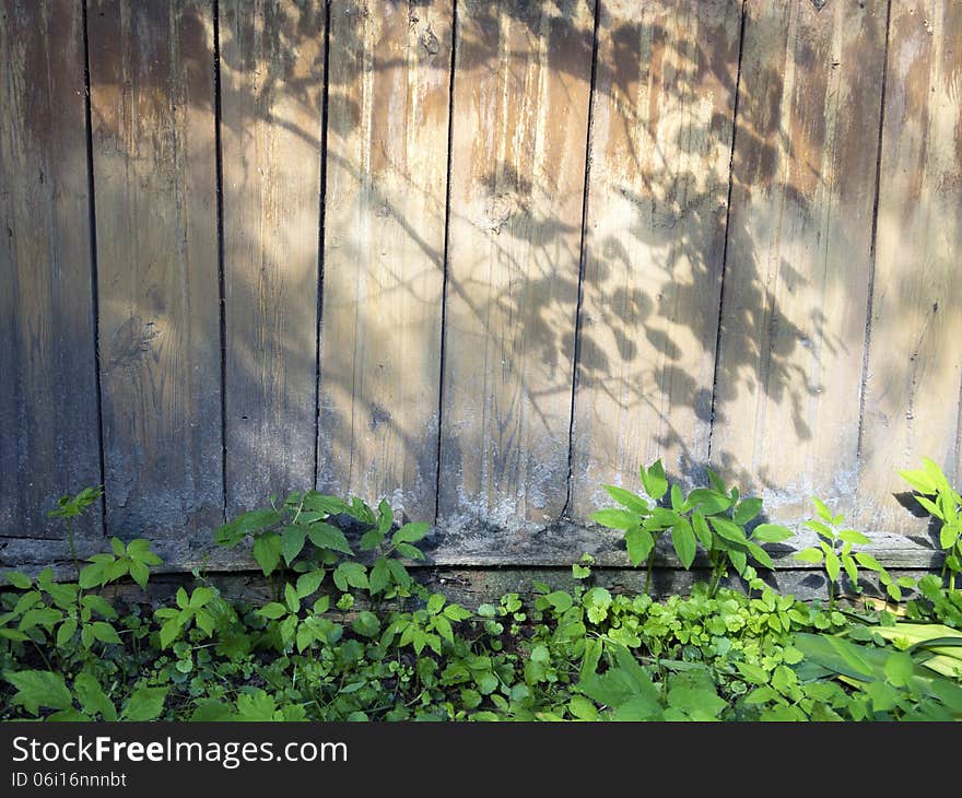 Weathered wooden wall with tree shadow and green grass on bottom