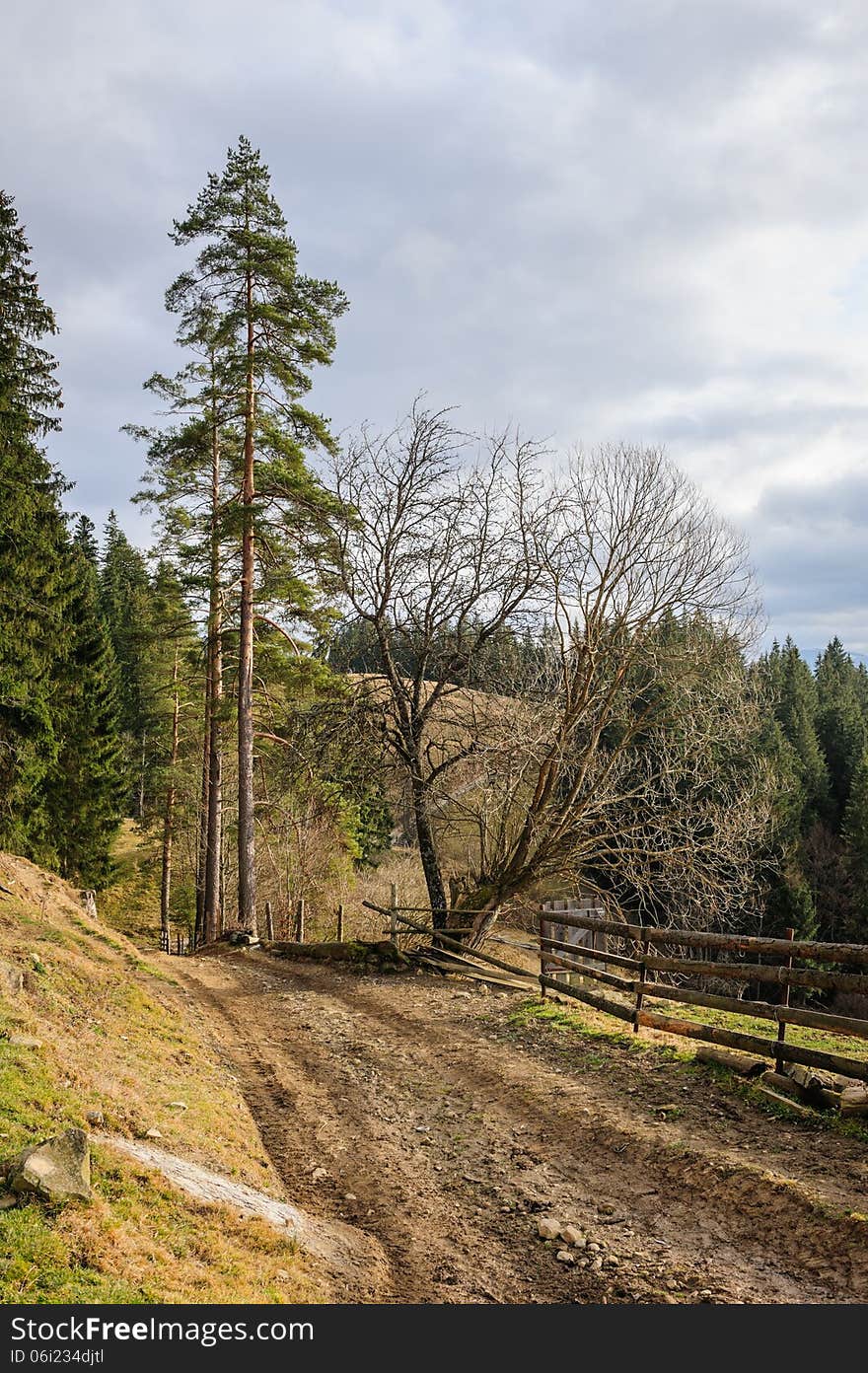 Dirty road in Carpathian village Vorokhta in the Ukraine