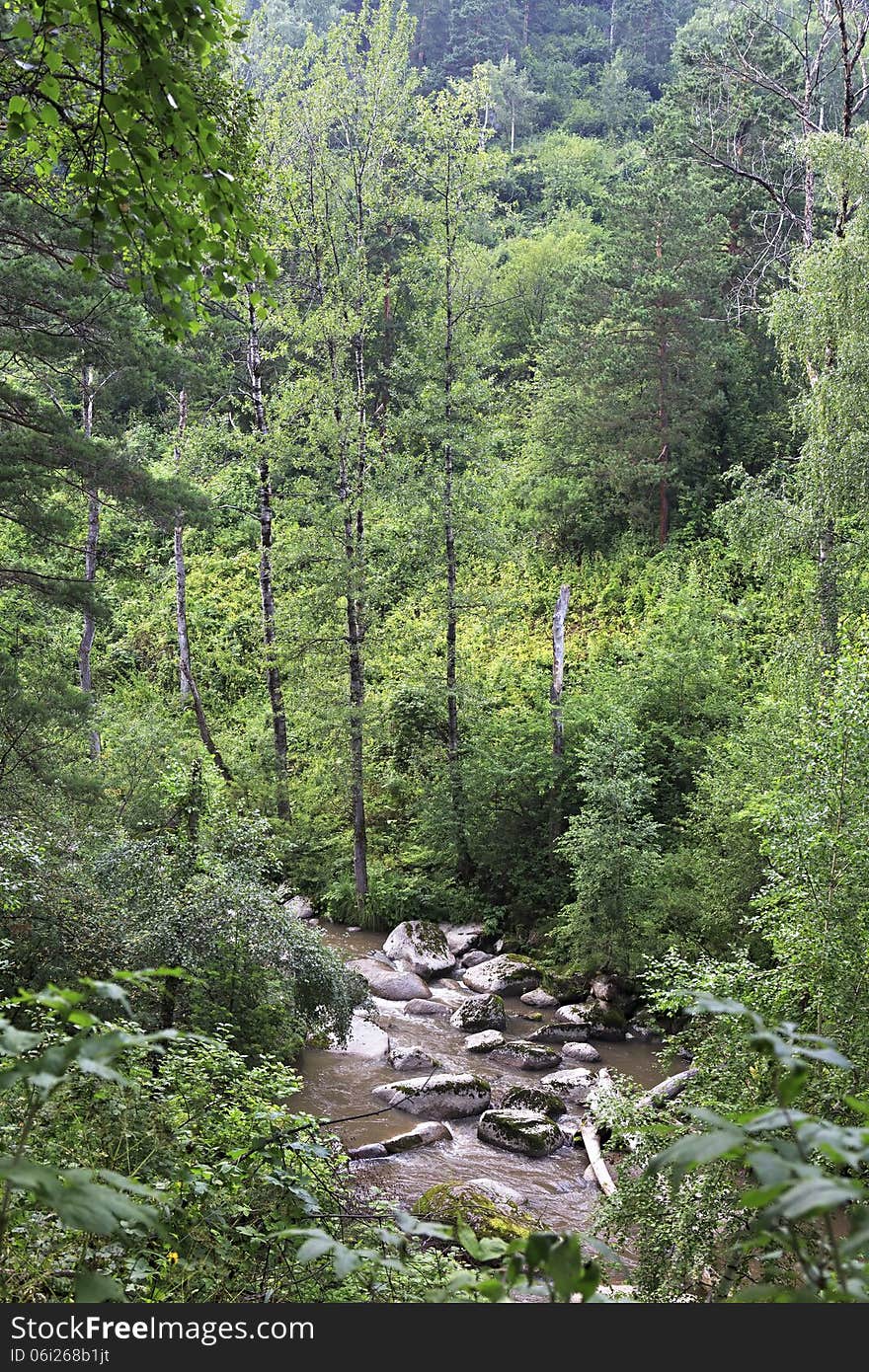 Belokurikha river in the forest on the hillside Sinyuha. Altai Krai.