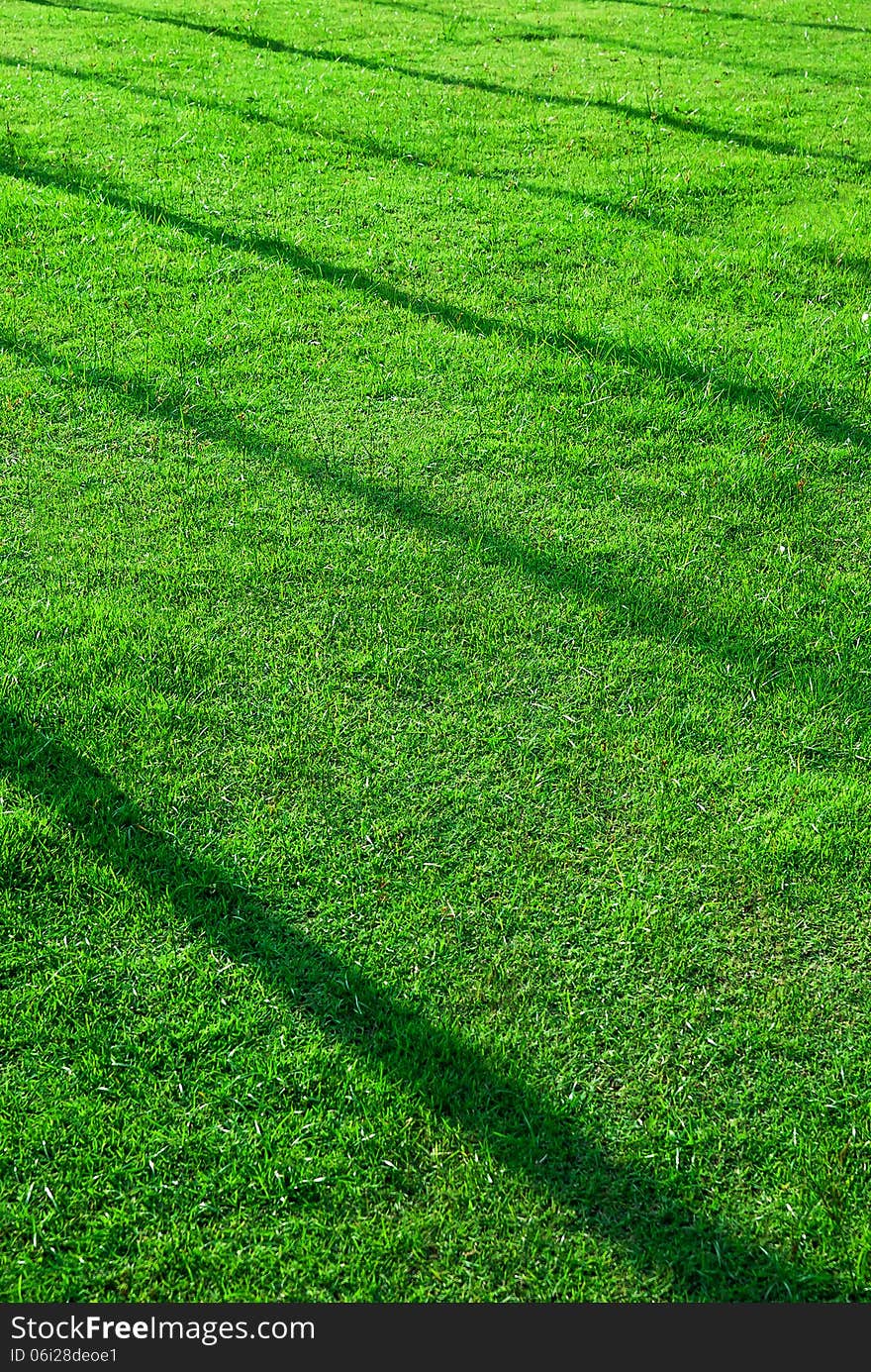 Grass ground with pole shadow. Grass ground with pole shadow