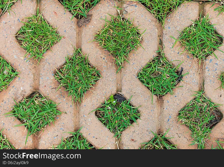 Brick floors with grass background