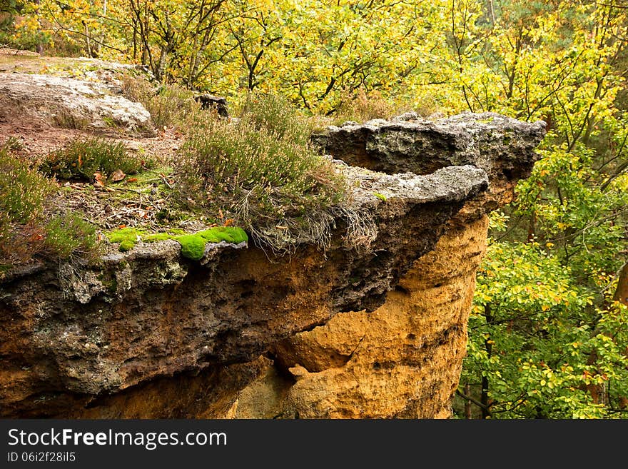 Rock with heather and moss. Rock with heather and moss