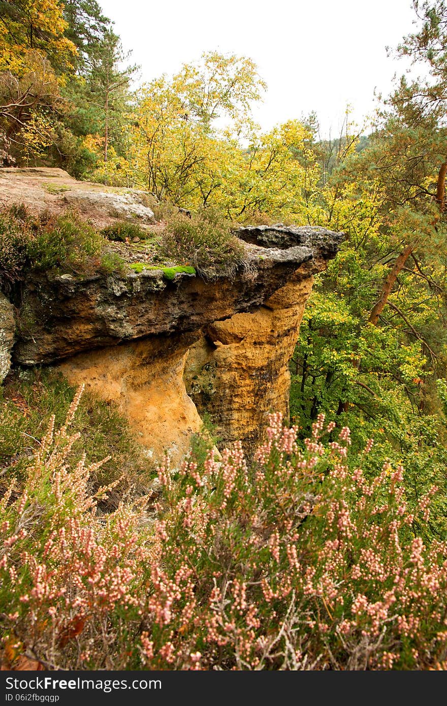 Rock in the woods