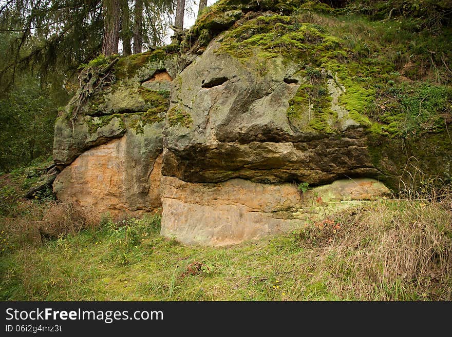 Rock covered with green moss