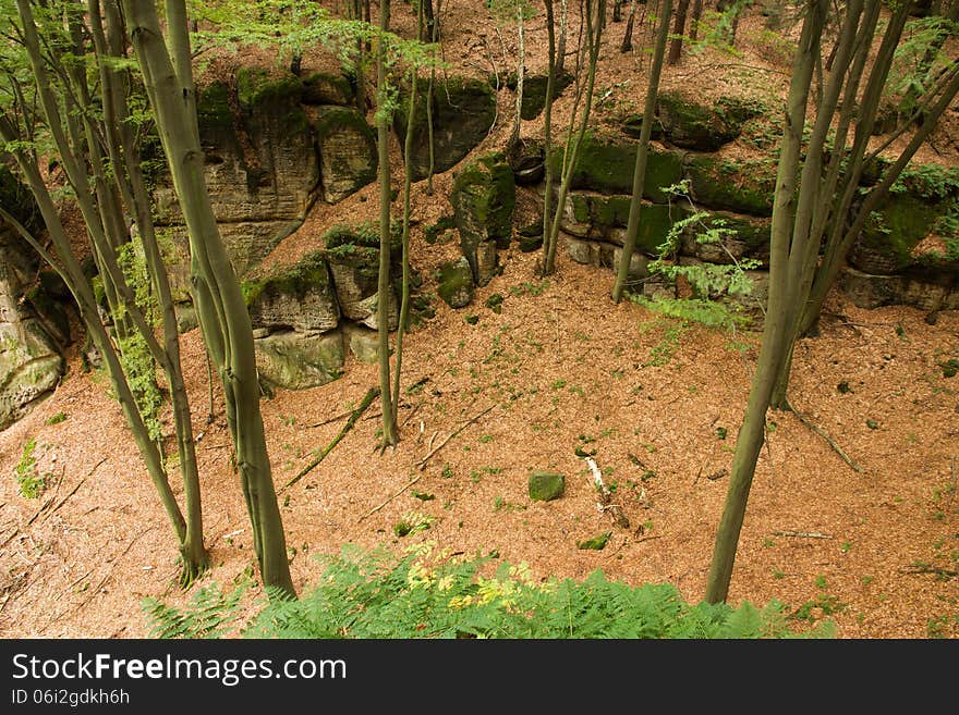 View of the valley with rocks