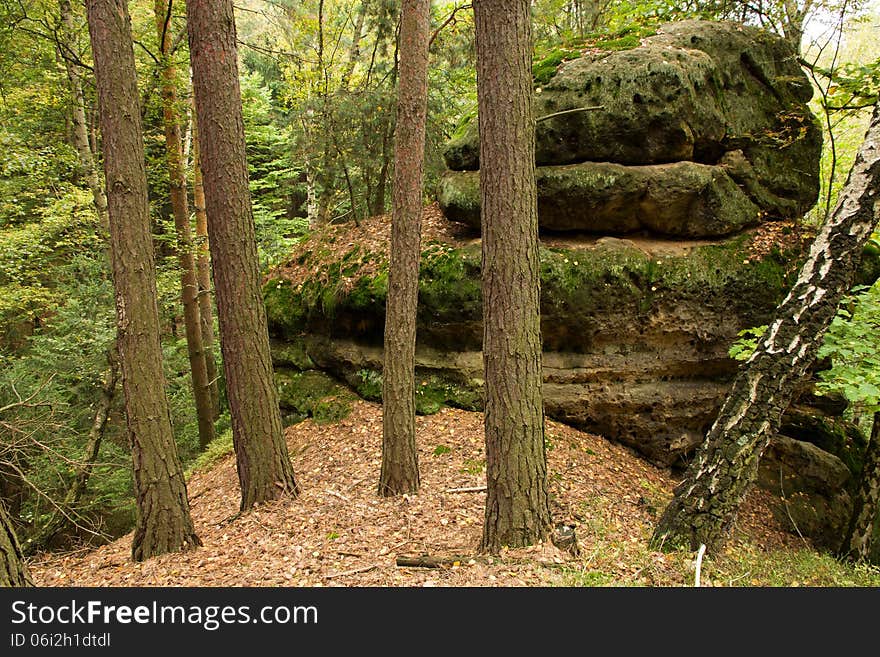 Rock In The Woods