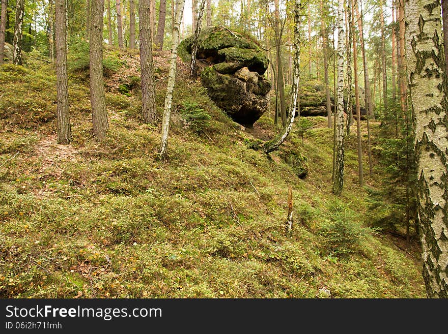 Rock from the side of a human face in tvau. Rock from the side of a human face in tvau