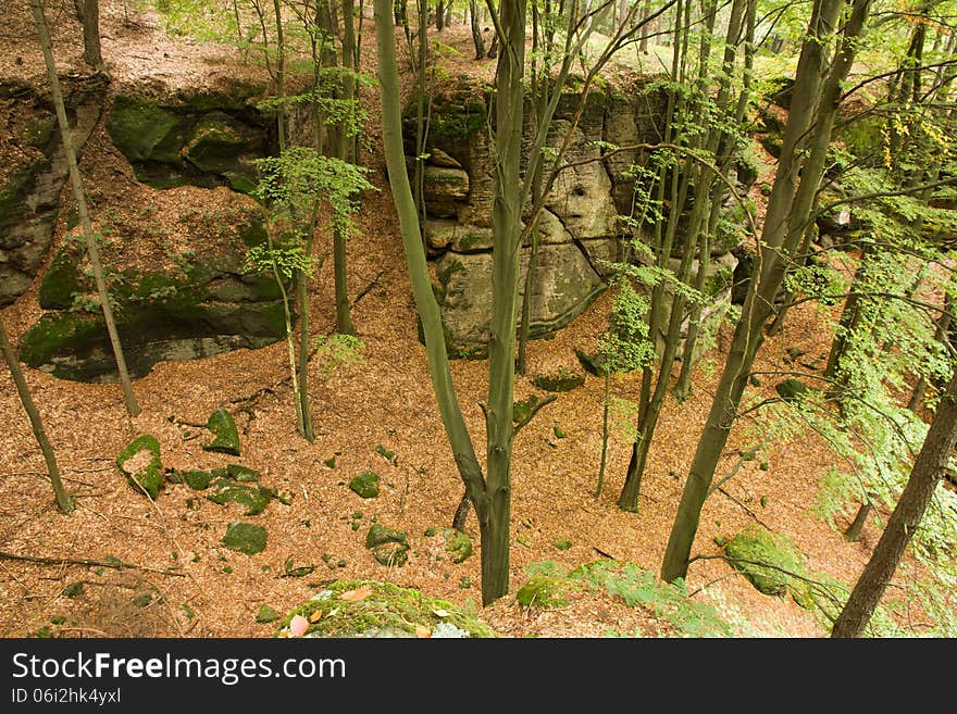 Rocky valley in autumn forest. Rocky valley in autumn forest