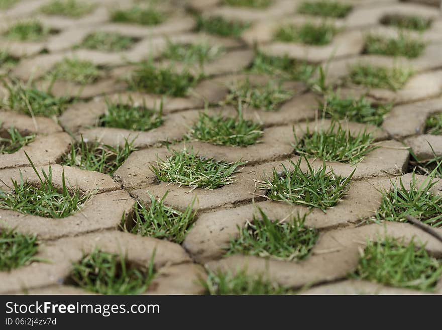 Brick floors with grass background